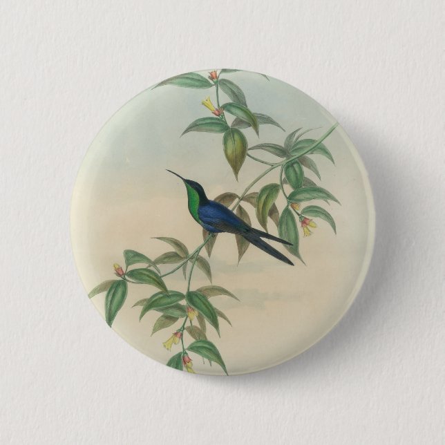 Bóton Redondo 5.08cm Colibri verde e azul de Gould (Frente)