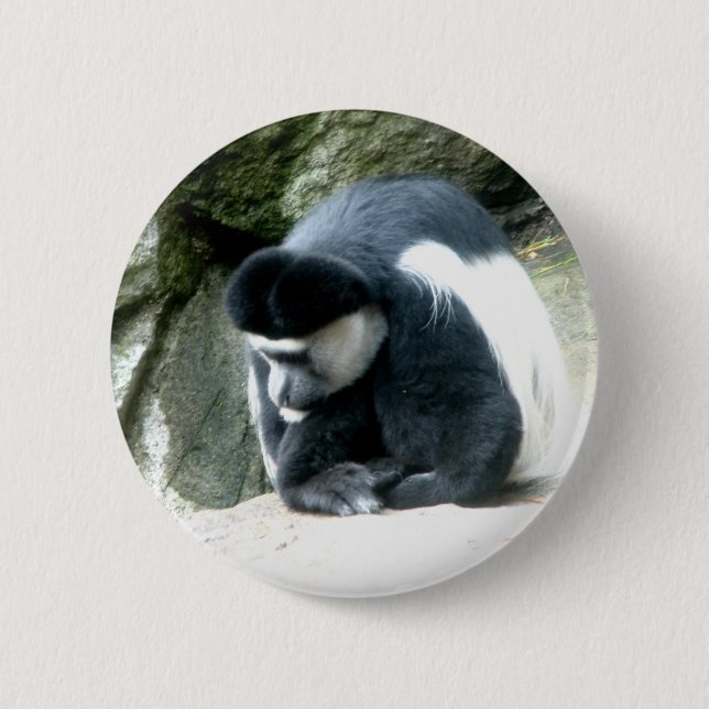 Bóton Redondo 5.08cm Colobus (Frente)