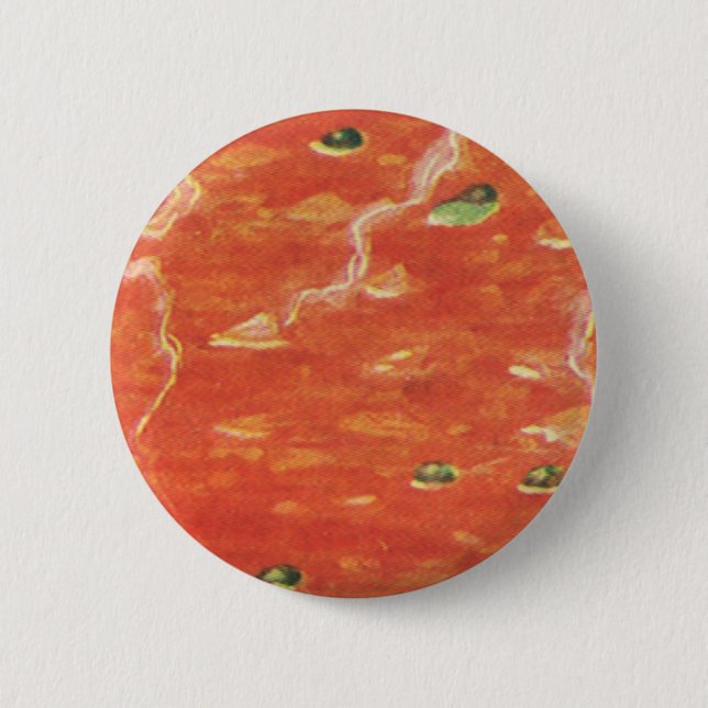 Bóton Redondo 5.08cm Comida Antiga, Tacho Quente de Sopa de Tomate com  (Frente)