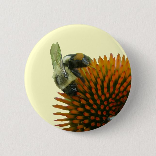 Bóton Redondo 5.08cm Coneflower & Eastern Carpenter Bee Itens de Abelha (Frente)