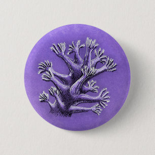 Bóton Redondo 5.08cm Coral Reef Roxo Marinha Arte