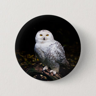 Bóton Redondo 5.08cm Coruja-das-neves majestosa de inverno
