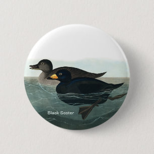 Bóton Redondo 5.08cm Cotro Negro, Audubon, Pato do Mar, Acessório de B