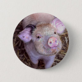 Bóton Redondo 5.08cm Cozmico