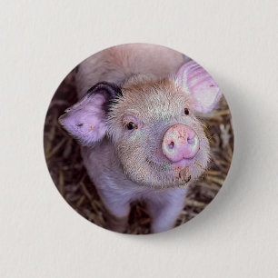 Bóton Redondo 5.08cm Cozmico