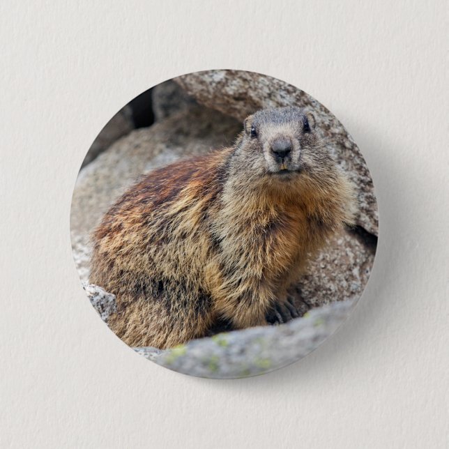 Bóton Redondo 5.08cm Crachá Alpino Marmot (Frente)
