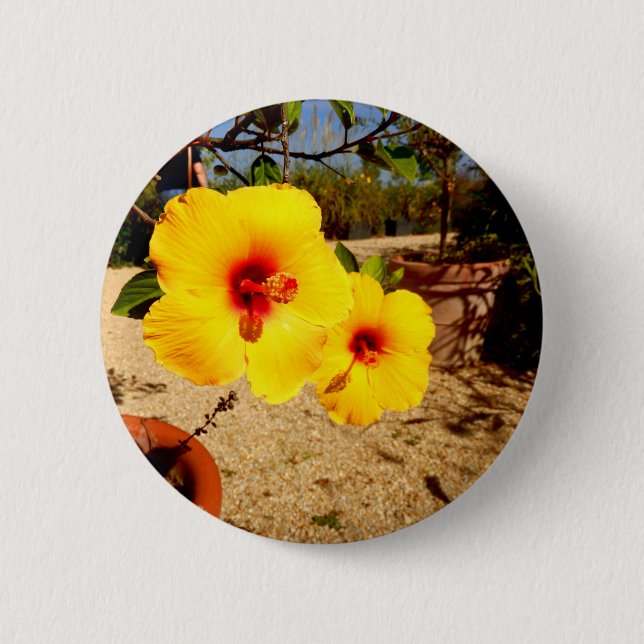 Bóton Redondo 5.08cm Crachá de hibiscus amarelo (Frente)