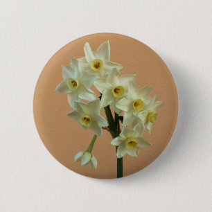 Bóton Redondo 5.08cm Crachá do Daffodil