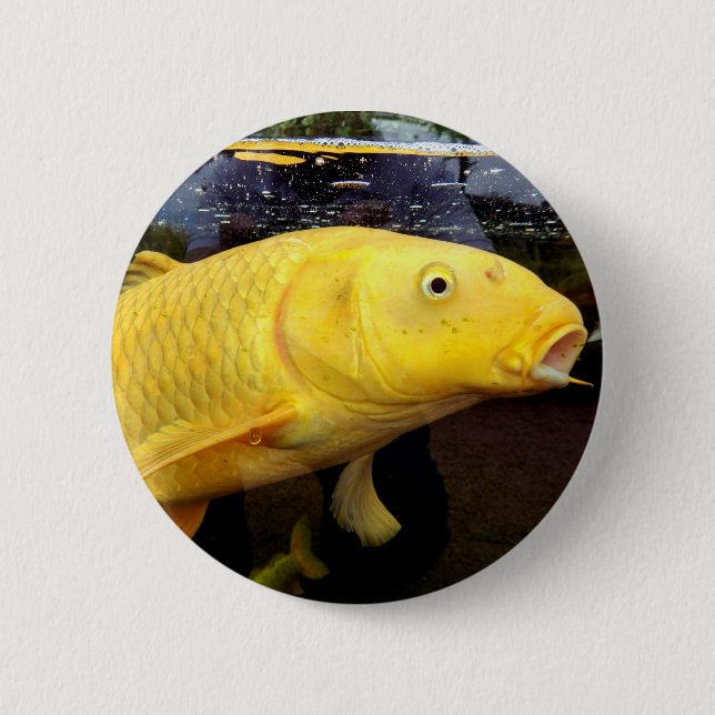 Bóton Redondo 5.08cm Crachá Koi Carp (Frente)