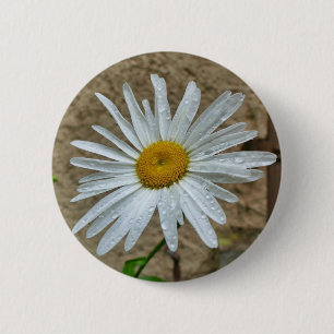 Bóton Redondo 5.08cm Crachá Leucanthemum Bloom