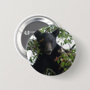 Bóton Redondo 5.08cm Cubo de Urso Preto em Árvore