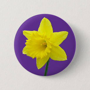 Bóton Redondo 5.08cm Daffodil de Galês - II
