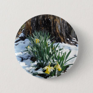 Bóton Redondo 5.08cm Daffodils amarelos na neve