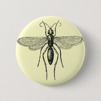 Bóton Redondo 5.08cm Damselfly