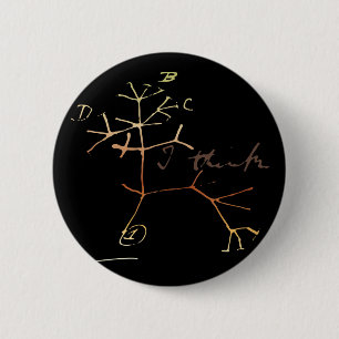 Bóton Redondo 5.08cm Darwin, eu penso a árvore da vida