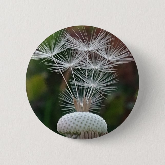 Bóton Redondo 5.08cm Delicate Dandelion Seeds  (Frente)