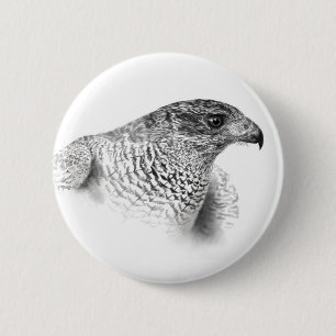 Bóton Redondo 5.08cm Desenho do Goshawk