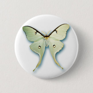 Bóton Redondo 5.08cm Design branco bonito da borboleta