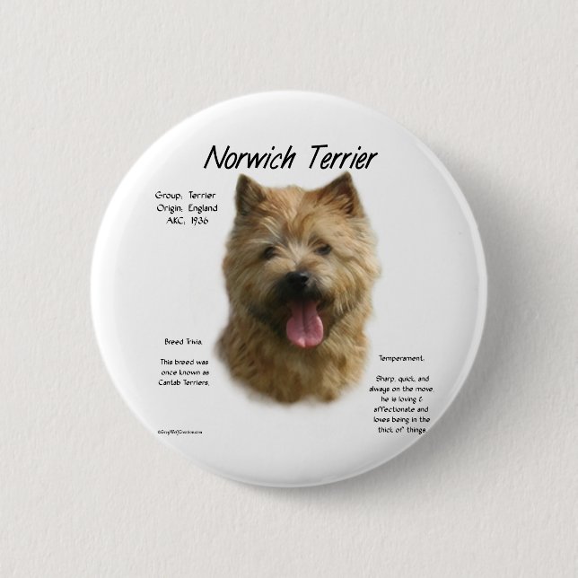 Bóton Redondo 5.08cm Design de Histórico de Terrier Norwich (Frente)