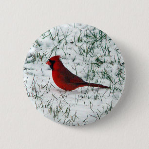 Bóton Redondo 5.08cm Dia de os namorados Cardinal Classic Round Sticker