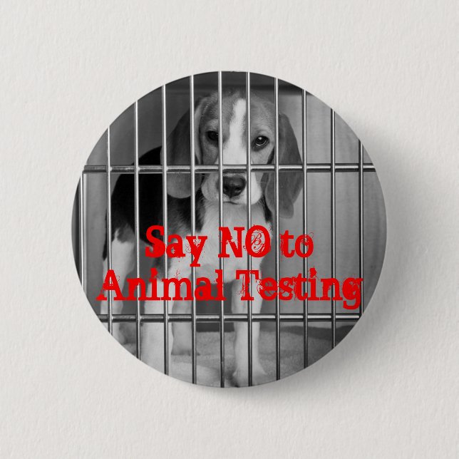 Bóton Redondo 5.08cm "Diga não pino do botão do lebreiro ao teste (Frente)