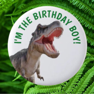 Bóton Redondo 5.08cm Dinossauro T Rex Menino Feliz