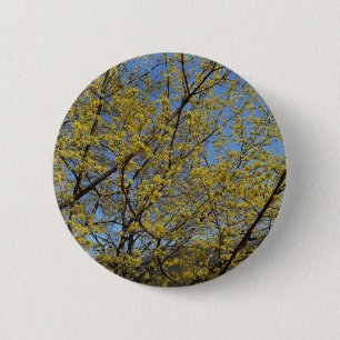 Bóton Redondo 5.08cm Dogwood da cereja de cornalina e céu azul florais