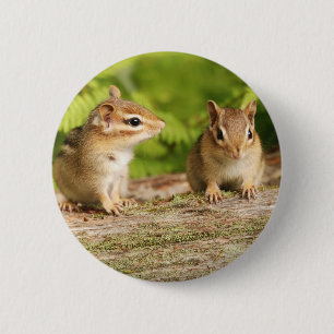Bóton Redondo 5.08cm Dois bebês bonitos do Chipmunk