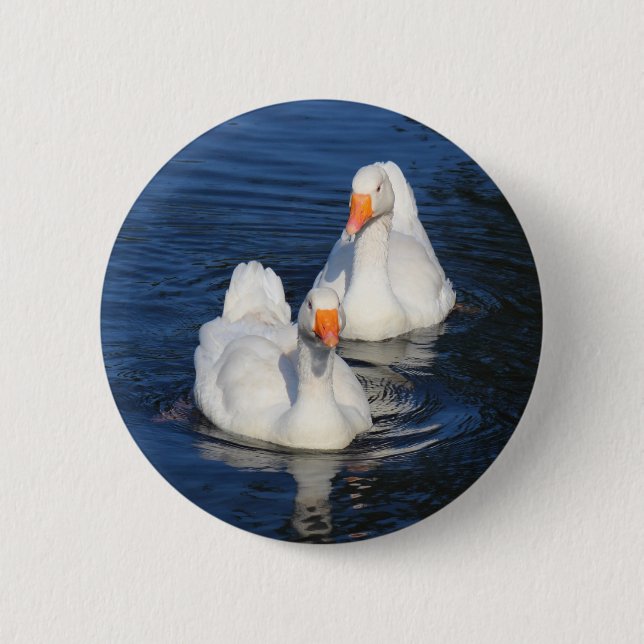 Bóton Redondo 5.08cm Dois Emden Geese II (Frente)
