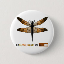 Dragonfly de tom castanho