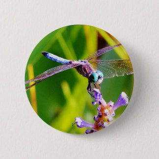 Bóton Redondo 5.08cm Dragonfly Teal & Purple