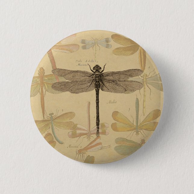 Bóton Redondo 5.08cm Dragonfly Vintage Desenho Clássico Antiquado (Frente)