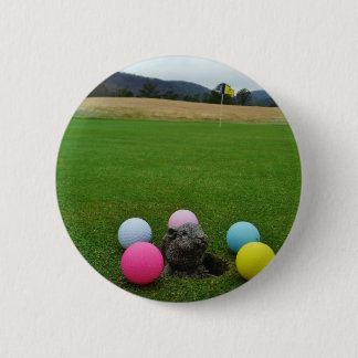 BÓTON REDONDO 5.08CM DSCF0692.JPG