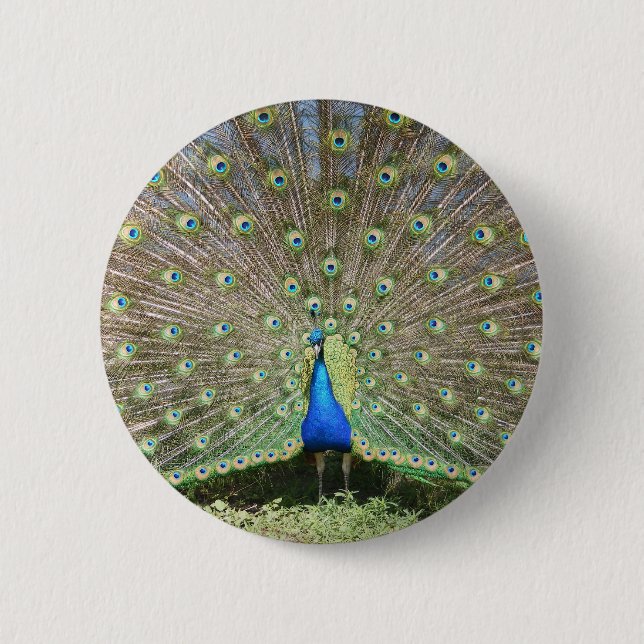 BÓTON REDONDO 5.08CM DSCF1062 (Frente)