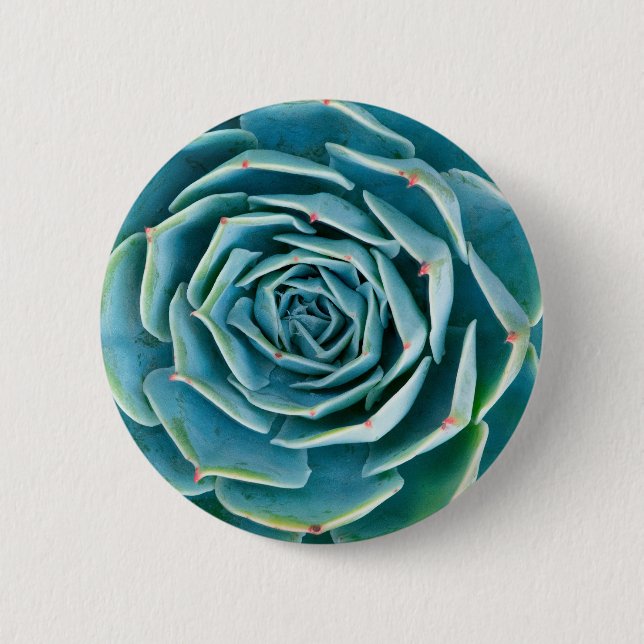 Bóton Redondo 5.08cm Echeveria Roseta, Jardim Secreto de Marrakech (Frente)
