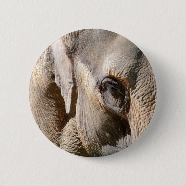 BÓTON REDONDO 5.08CM ELEPHANT (Frente)