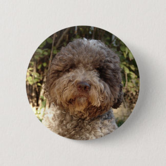 Bóton Redondo 5.08cm emblema lagotto-romagnolo