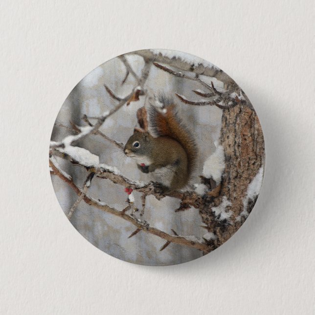 Bóton Redondo 5.08cm Esquilo de inverno, neve e berries vermelhos Desig (Frente)