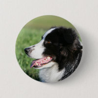 Estabelecimento do filhote de cachorro de border