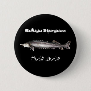 Bóton Redondo 5.08cm Esturjão da beluga