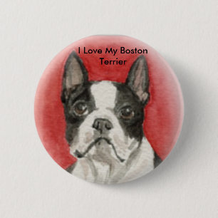 Bóton Redondo 5.08cm "Eu amo meu botão da arte do cão de Boston Terri
