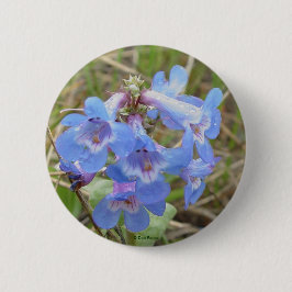Bóton Redondo 5.08cm F3 Flores Silvestres Azuis Penstemon Azul Delgado