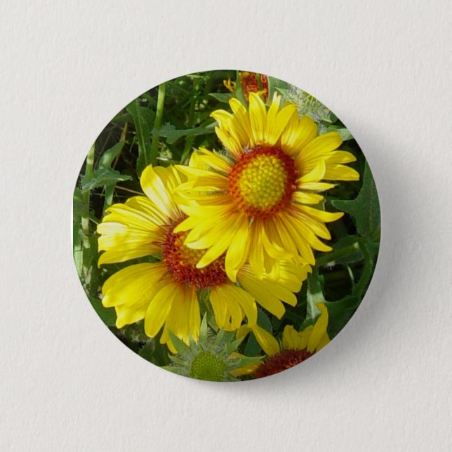 Bóton Redondo 5.08cm F6 Flores Silvestres Amarelas Gaillardia (Frente)