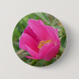 Bóton Redondo 5.08cm F7 Rosa Silvestre de Alberta