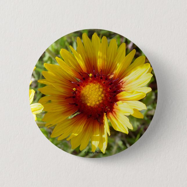 Bóton Redondo 5.08cm F8 Amarelas Flores Silvestres Gaillardia (Frente)