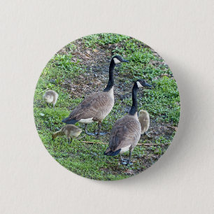 Bóton Redondo 5.08cm Família canadense dos gansos