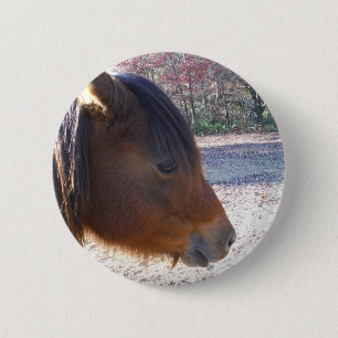 Bóton Redondo 5.08cm Fecha o cavalo marrom, Pôneo marrom