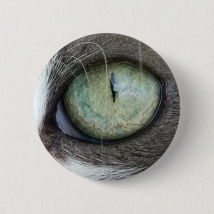 Bóton Redondo 5.08cm Feche acima do olho de gato
