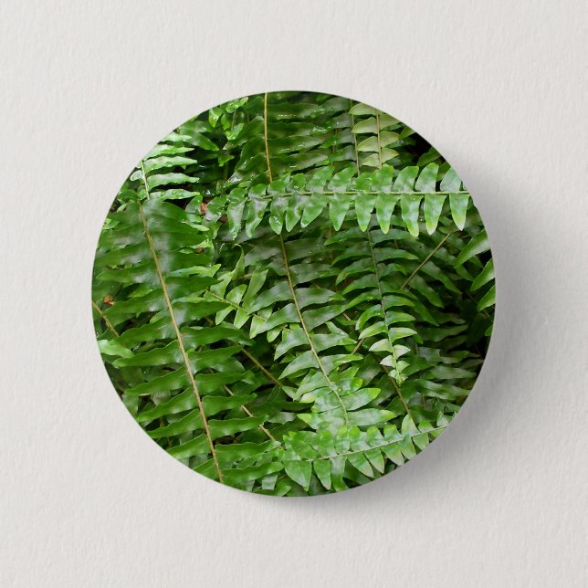 Bóton Redondo 5.08cm Fern Frontes I Green Nature (Frente)
