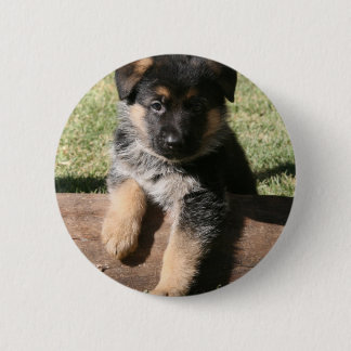 Bóton Redondo 5.08cm Filhote de cachorro "máximos grandes " do german